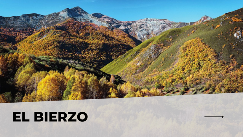 El Bierzo